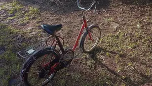Cheap Bike