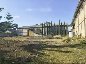Ware House