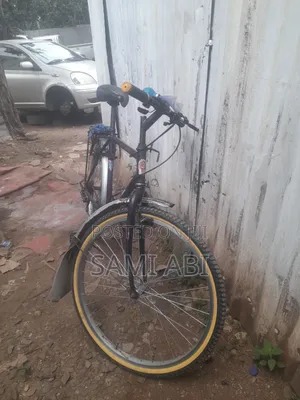 Bir Eco 2024 Purple