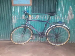 Bir Eco 2024 Purple