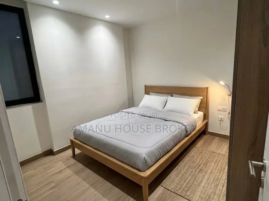 Furnished 4bdrm Apartment in Addis Abeba, Bole for rent