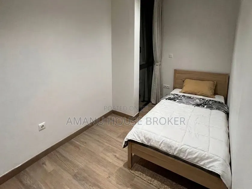 Furnished 4bdrm Apartment in Addis Abeba, Bole for rent