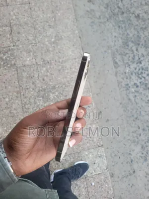 Apple iPhone 12 Pro Max 256 GB Gold