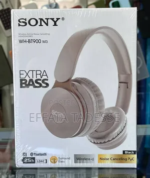 Sony Headset