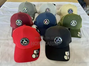 Georgia Circular Logo Mesh-Back Caps
•