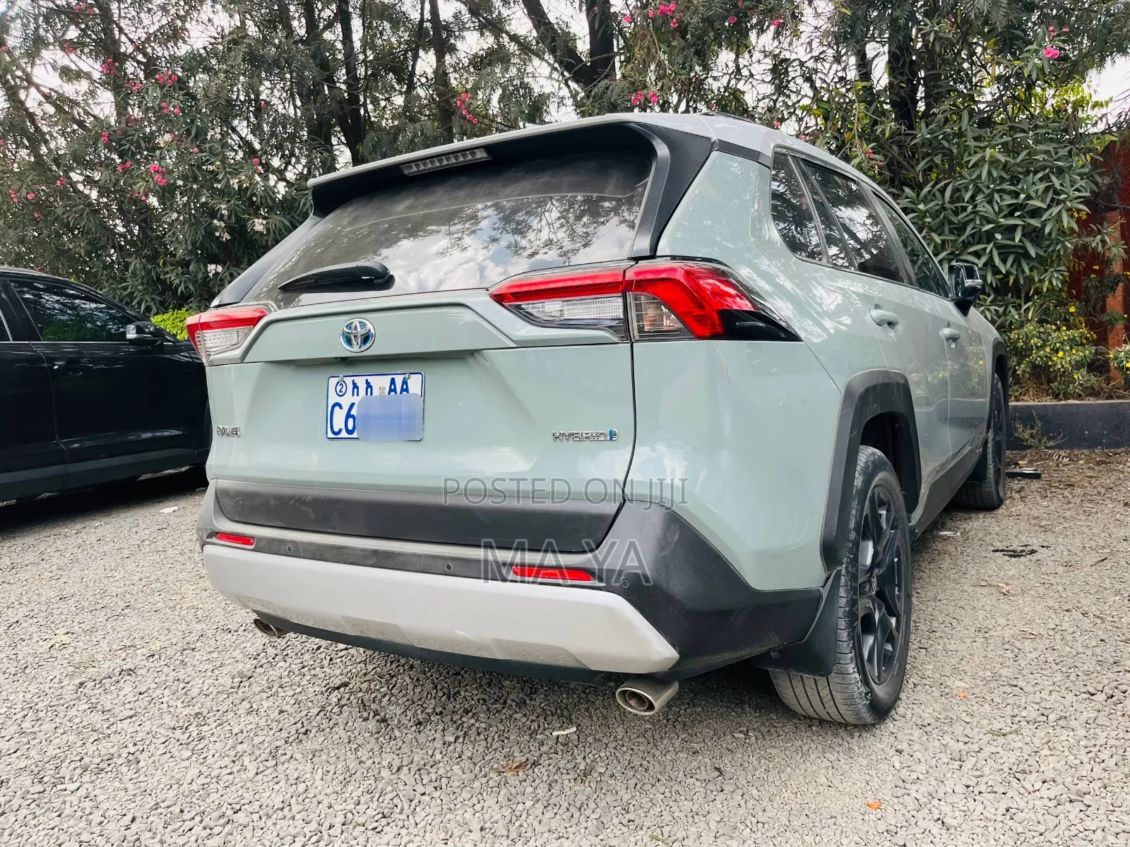 Toyota RAV4 Adventure AWD 2023 Green