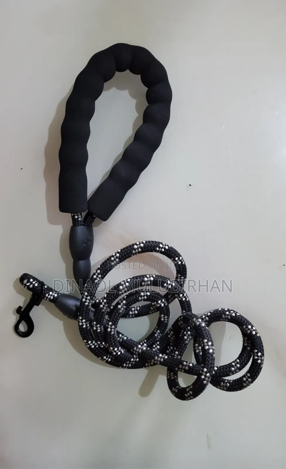 Leash for Dogs