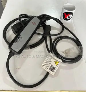 Byd 220 Volt 8 Ampere Charger