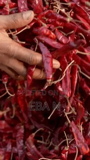 Red Whole Dried Hot Pepper
