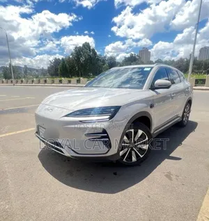 BYD Song Plus 2025 Gray