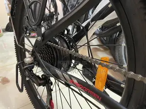 Electric Bike 50kmh