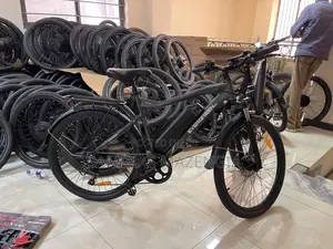 Electric Bike 50kmh