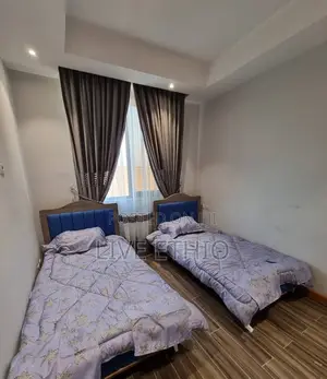 Furnished 2bdrm Apartment in Akaky Kaliti for rent