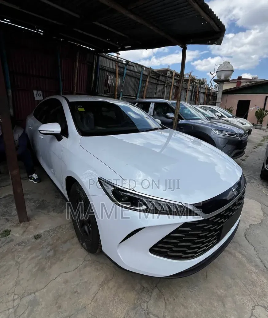 New BYD Qin Plus DM-i 2025 White