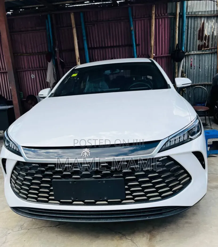 New BYD Qin Plus DM-i 2025 White