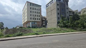 የሊዝ መሬት ሽያጭ 218 ካሬ ሜትር ዲጂታል ካርታ የሆነ