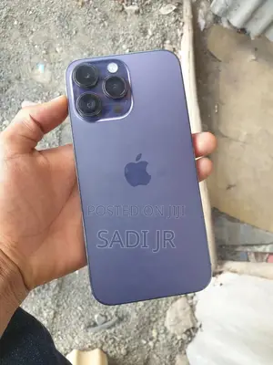 New Apple iPhone 13 Pro Max 256 GB Silver