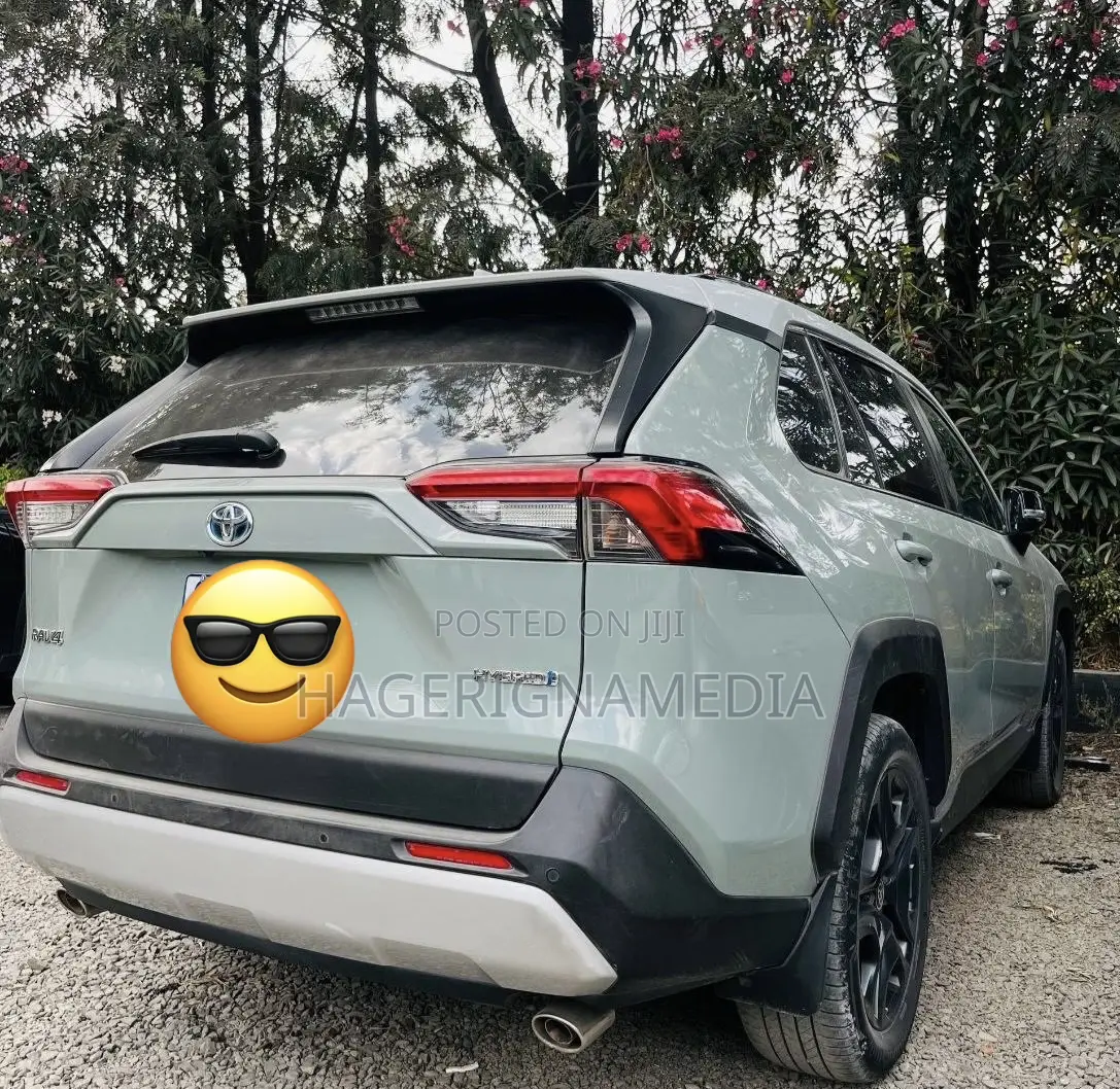 Toyota RAV4 Hybrid 2022 Silver