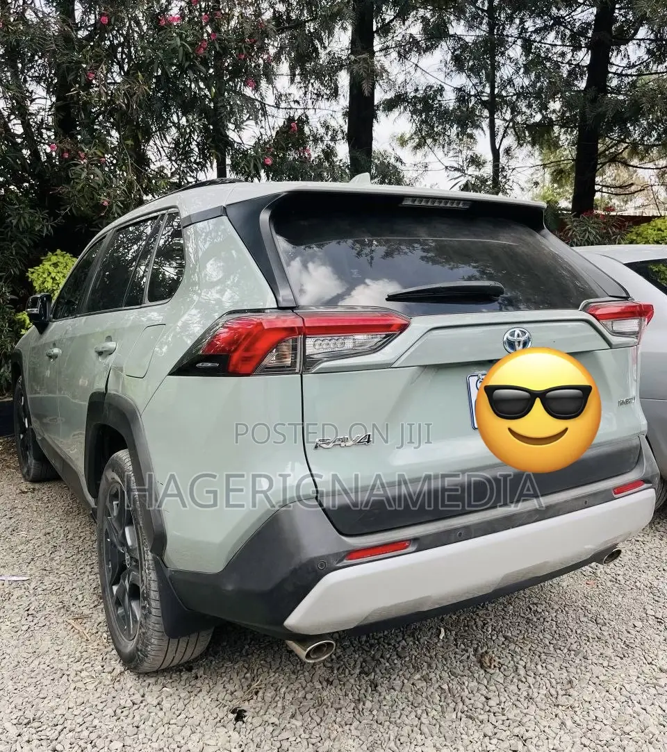 Toyota RAV4 Hybrid 2022 Silver