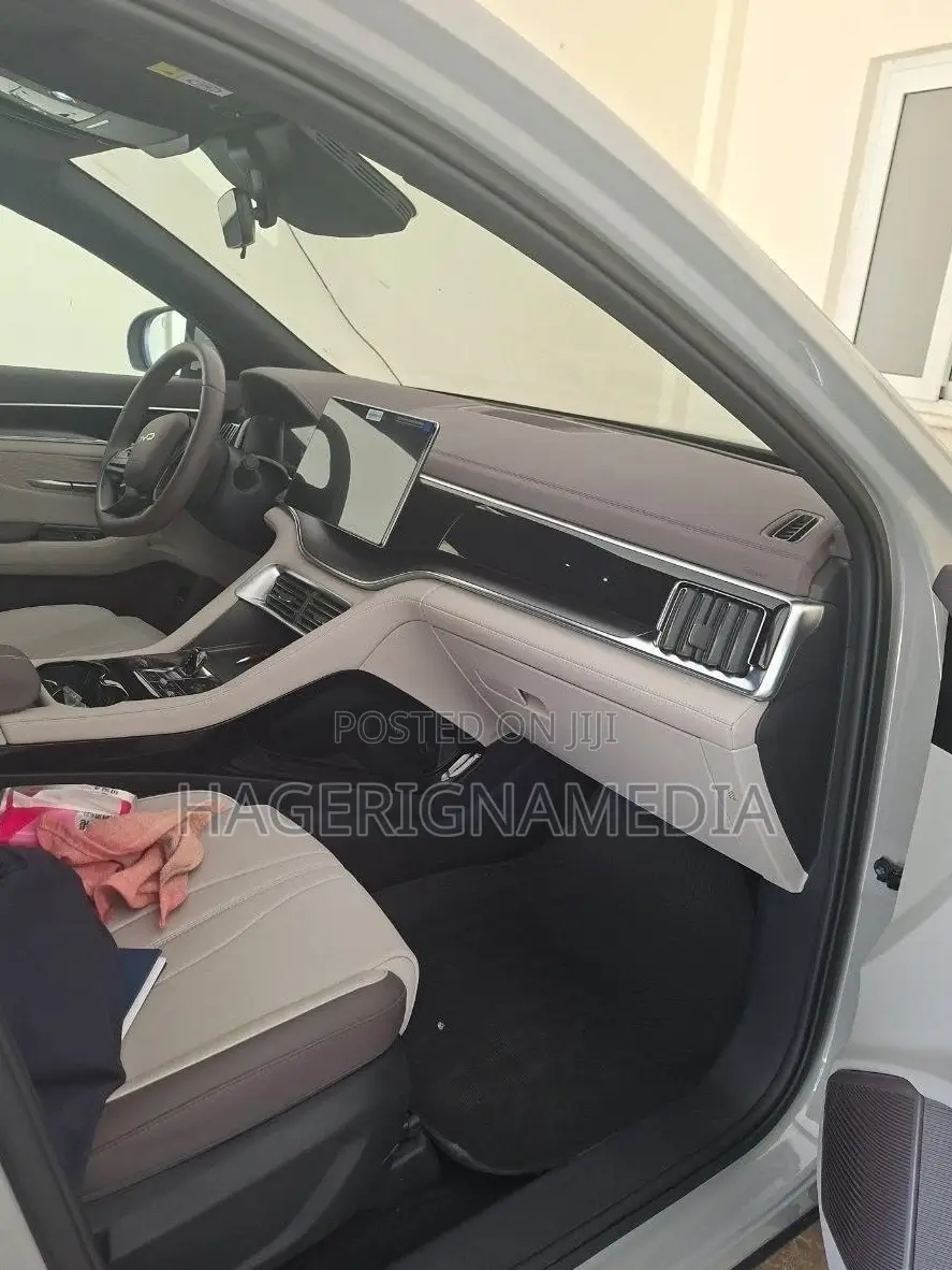 BYD Song Plus DM-i 2025 Gray