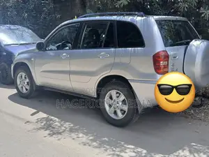 Toyota RAV4 2005 Silver