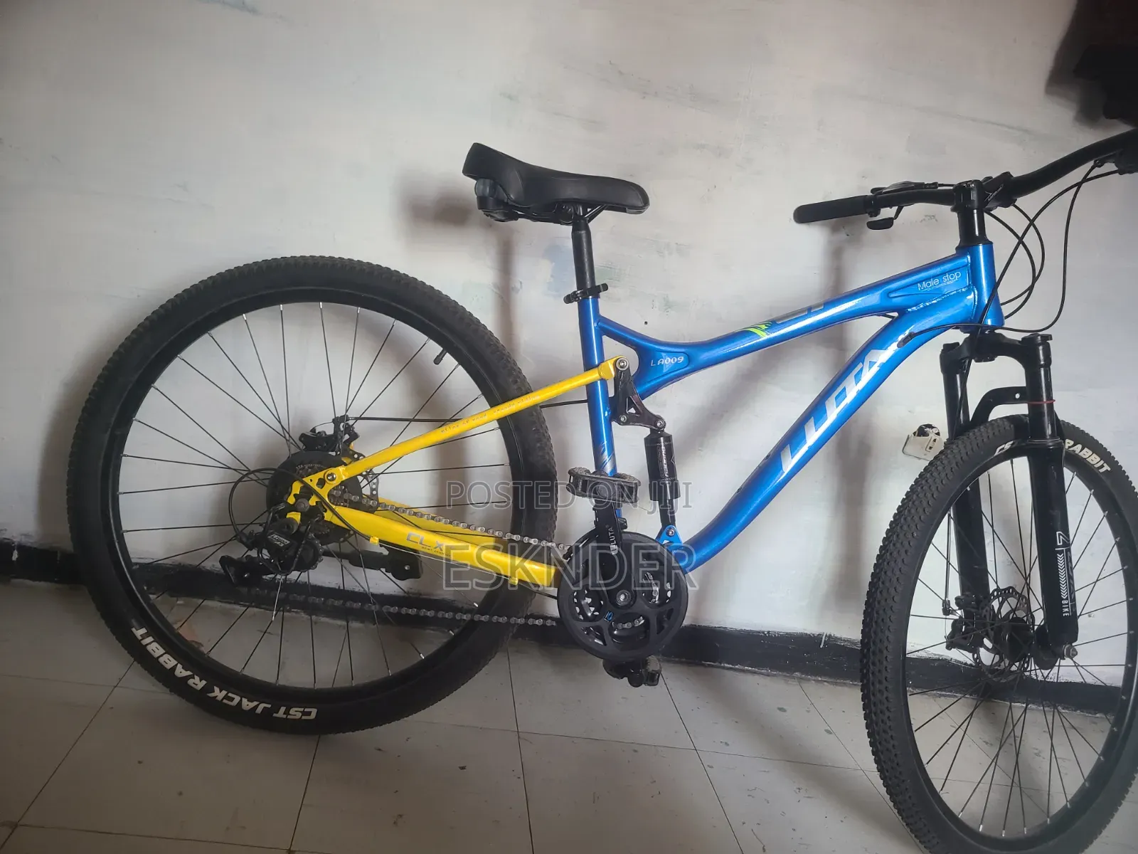 Bicycle Brand New Bule