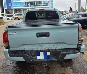 Toyota Tacoma 2019 Gray