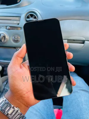 Apple iPhone 13 Pro Max 128 GB Gray