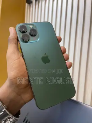 Apple iPhone 13 Pro Max 256 GB Green