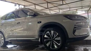 BYD Song Plus 2025 Beige