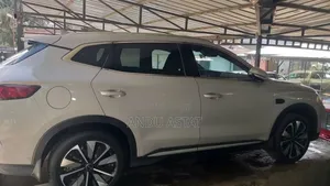 BYD Song Plus 2025 Beige