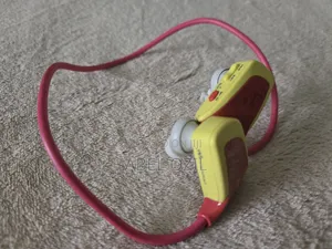 Sony NWZ-W262