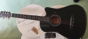 Acoustic Guitar