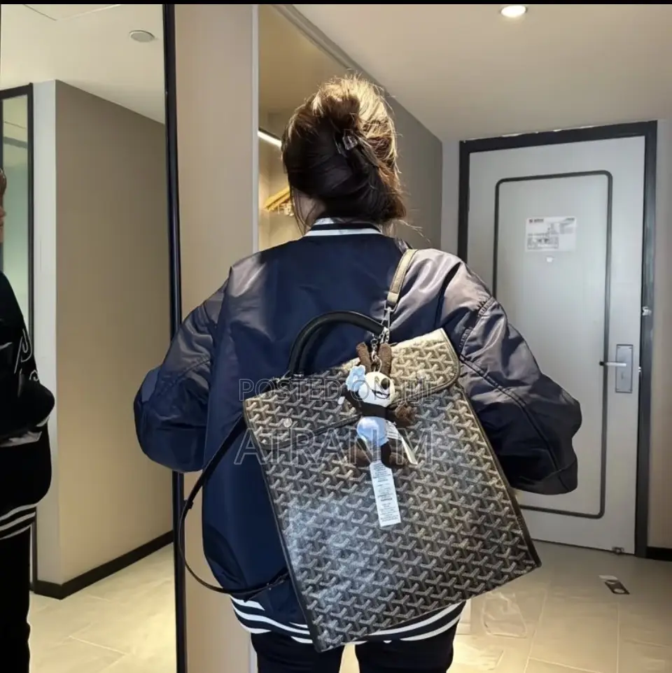 Goyard Luxury Bag