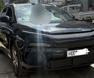 BYD Tang EV 2025 Black