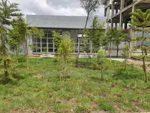 Furnished 1bdrm House in Private Property, Bole for sale