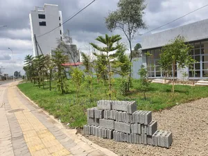 Furnished 3bdrm House in Private Property, Bole for sale