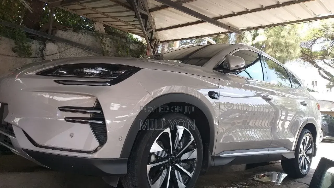 BYD Song Plus 2025 Gray