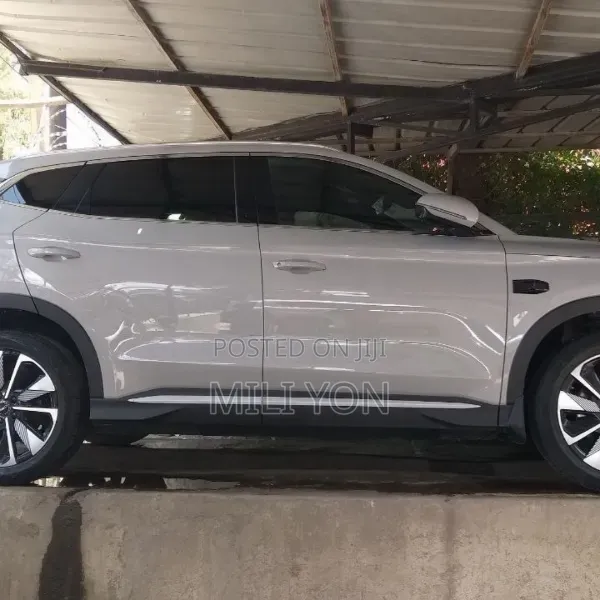 BYD Song Plus 2025 Gray