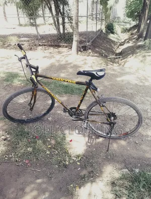 Bicycle Used Phoenix