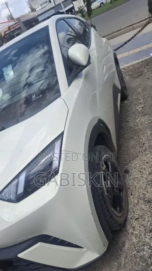 BYD Seagull 38 kWh FWD 2023 White