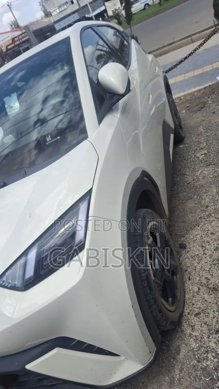 BYD Seagull 38 kWh FWD 2023 White