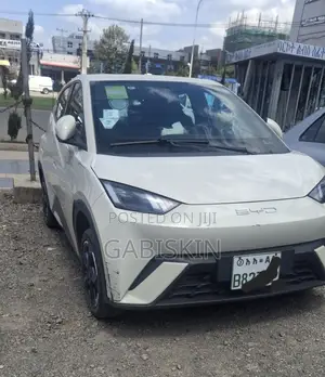 BYD Seagull 38 kWh FWD 2023 White