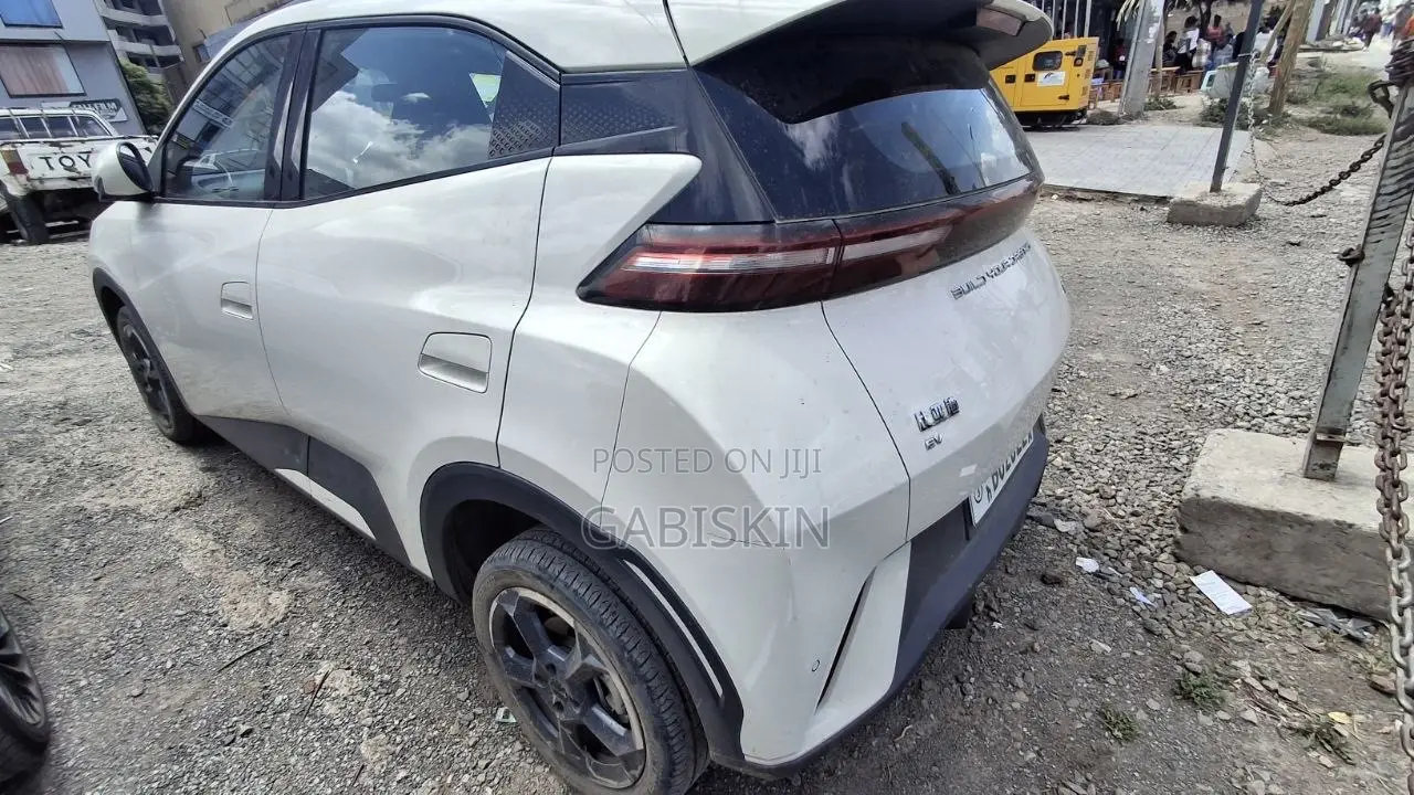 BYD Seagull 38 kWh FWD 2023 White
