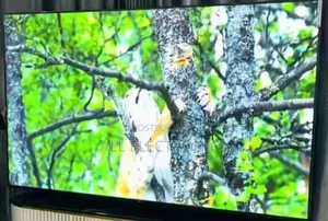 100"Inch Octa Smart Tv