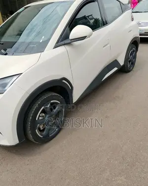 BYD Seagull 38 kWh FWD 2023 White