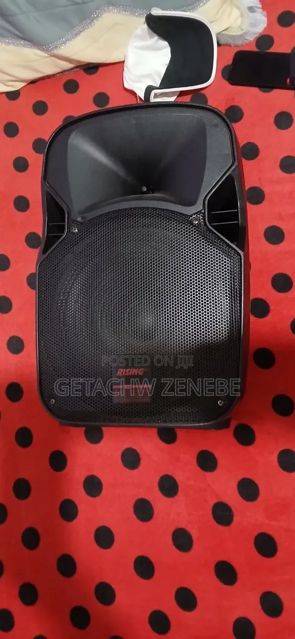 Rising Spearker. Hi Fi Speaker