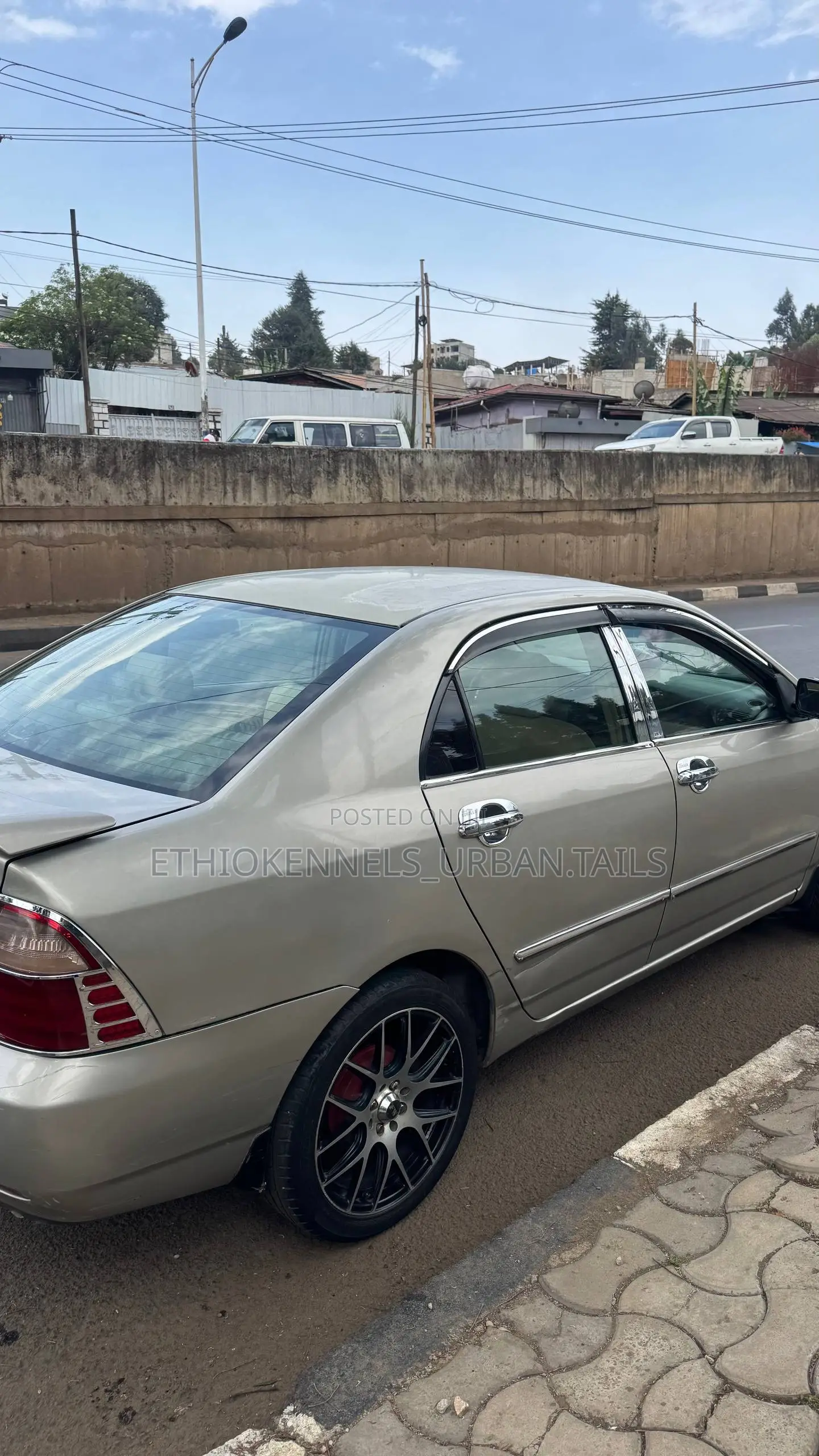 Toyota Corolla 2007 Gray