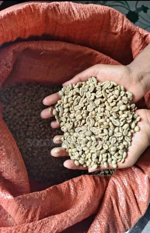 ይርጋጨፊ ቡና Raw Coffee