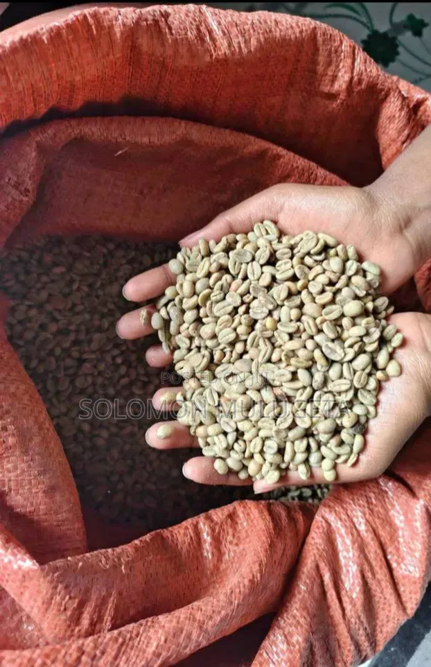 ይርጋጨፊ ቡና Raw Coffee